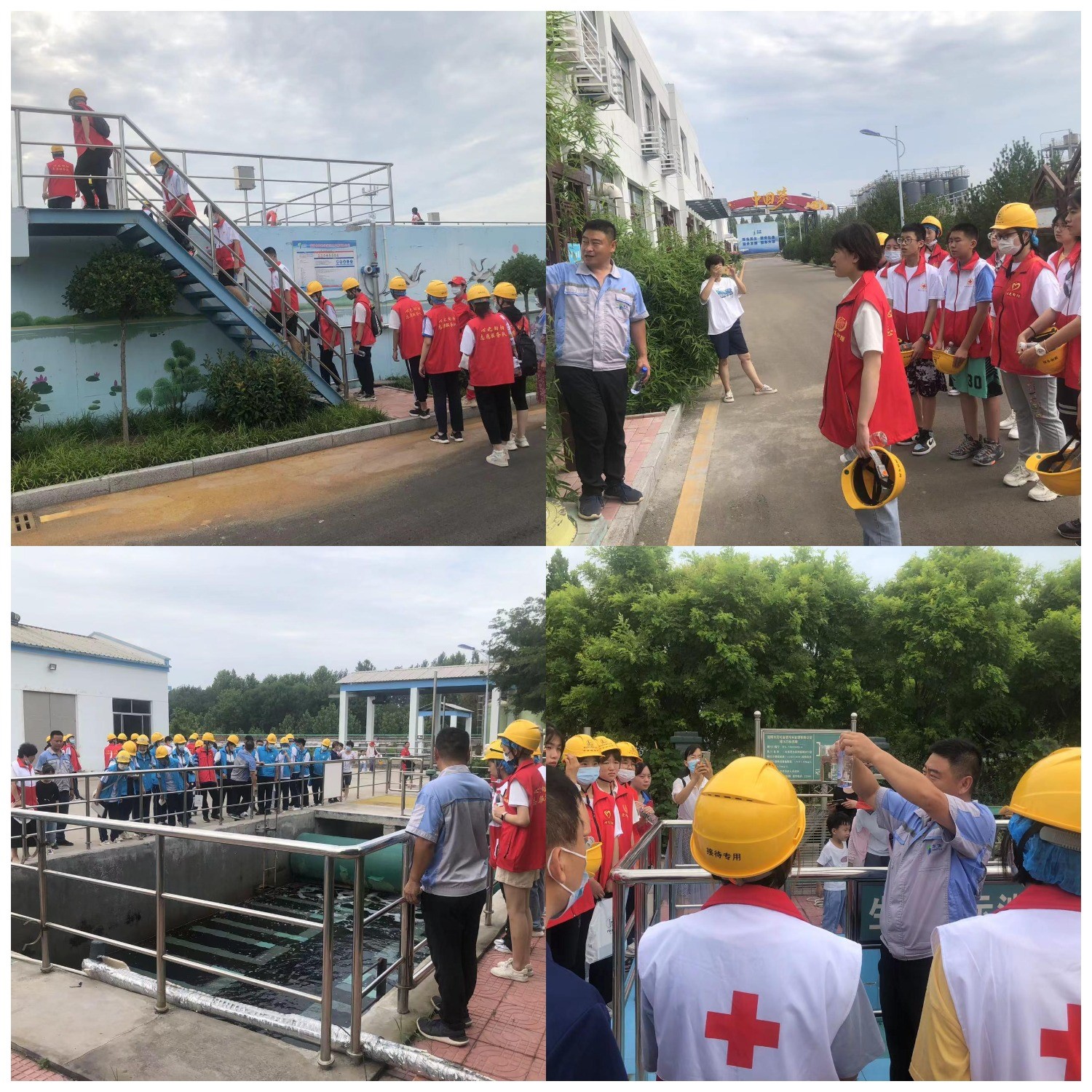 1665644037505037.jpg 1.jpg