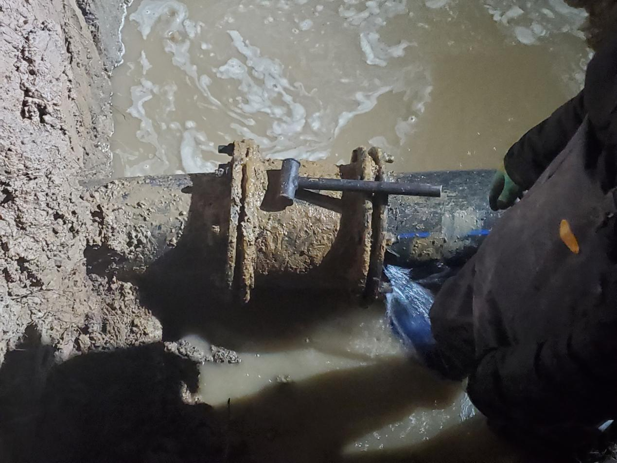 1736928877689059.png 图片2.png